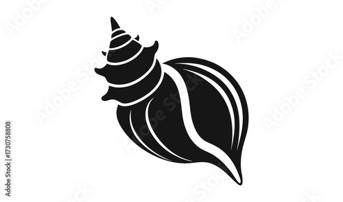 Black seashell isolated on white background illustration