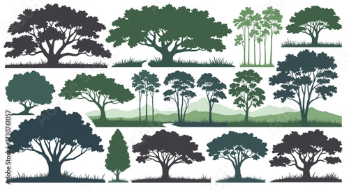 A diverse collection of deciduous and coniferous trees rendered in silhouette against a landscape.