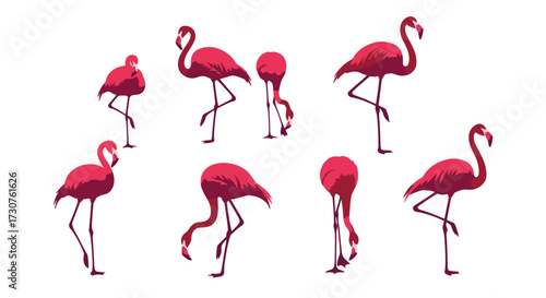 A collection of vibrant pink flamingos displaying various poses and movements.