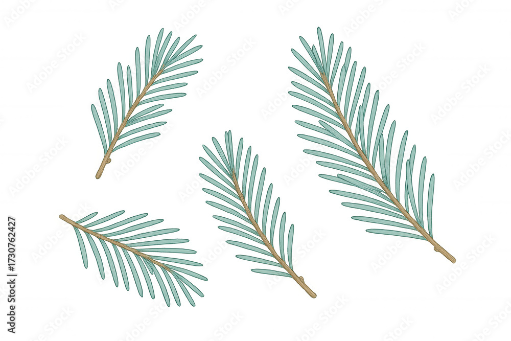 Naklejka premium Spruce fir tree branches creating christmas winter holiday evergreen plant pattern on transparent background