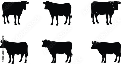 Cow silhouettes farm animals livestock vector illustration set, black cattle shapes standing grazing agriculture design for dairy farming content