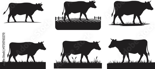 Cow silhouettes walking grazing cattle vector illustration set, black farm animals livestock agriculture design rural pasture outline shapes collection