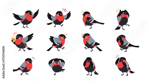 A collection of twelve distinct bullfinch bird illustrations showing various emotions and actions.