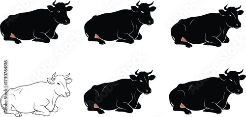 Set of cow vector illustrations lying down on ground in resting position, farm animal artwork for agriculture, dairy, and design