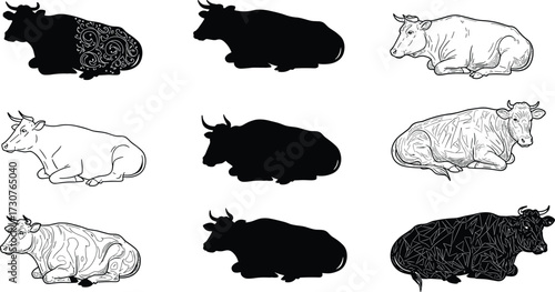 Set of cow vector illustrations lying down on ground in resting position, farm animal artwork for agriculture, dairy, and design