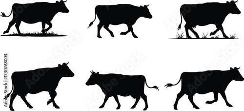 Silhouette vector illustration of walking cows in different poses with horns, tails, and grass elements for farm livestock design