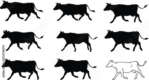 Silhouette vector illustration of walking cows in different poses with horns, tails, and grass elements for farm livestock design