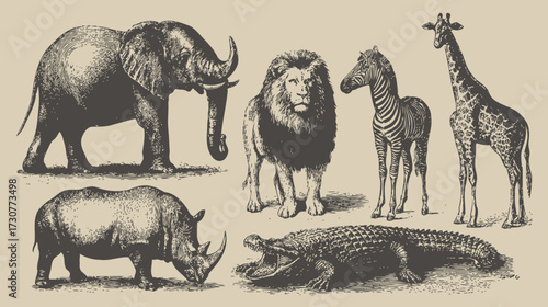 Vintage Engraving African Safari Wildlife Set. Hand-drawn illustrations of Elephant, Lion, Giraffe, Zebra, Rhinoceros, and Crocodile.