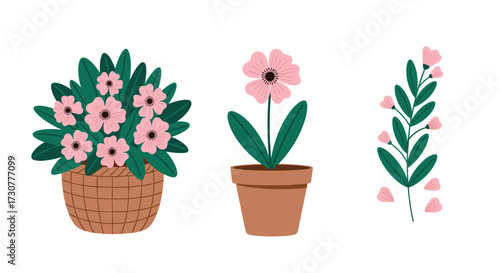Three potted flowers and plants in a woven basket and clay pots.