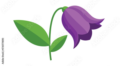 A solitary purple bell-shaped flower hangs its head.