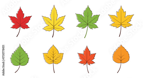 A collection of various colorful autumn leaves on a white background.