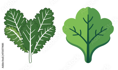 Celebrate National Kale Day with bold vector art of kale leaves, typography, cartoon characters, healthy food icons, and minimalist solid color illustrations for digital and print use