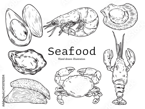 Set of hand drawn seafood mussel, shrimp, scallop, oyster, lobster, crab and shellfish  outline drawing illustration