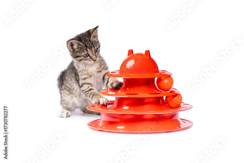 A curious tabby kitten plays with an orange cat toy featuring three levels of spinning balls. The playful feline is captured mid-movement against a clean white background.