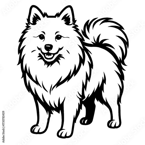 American Eskimo Dog Vector Illustration - Cheerful Fluffy Pet