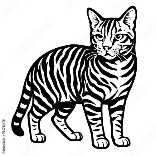 American Shorthair Cat Vector Illustration - Classic Tabby Graphic