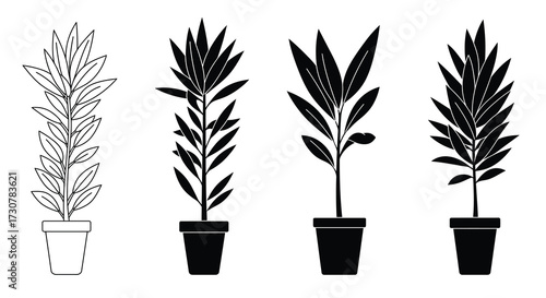 Four potted plants with varying levels of shading and detail depicted