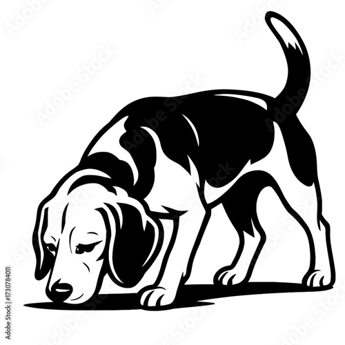 Beagle Dog Vector Illustration - Hunting and Scent Hound Graphic