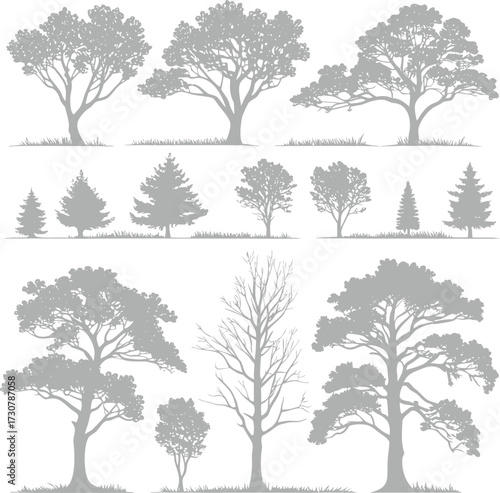 Set of detailed tree silhouettes with various shapes and styles in gray color. Natural forest elements perfect for landscape, design projects, and eco concepts. Great for patterns and illustrations.