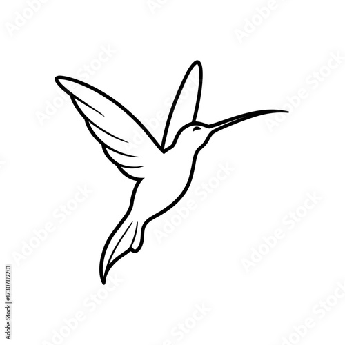 delicate line sketch of a hummingbird sipping nect