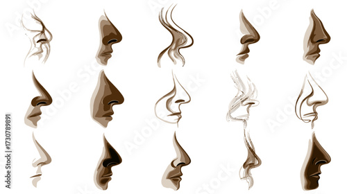 Detailed illustrations of diverse human nose profiles, showcasing various shapes and anatomical structures, perfect for artistic reference