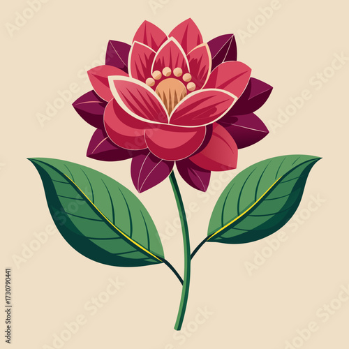 vector illustration botanical  flower