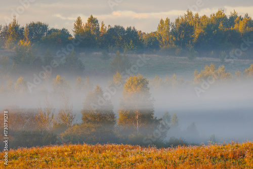 Experience a Serene Misty Morning in the Vibrant Autumn Landscape, filled with beauty