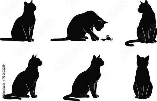 Cat silhouettes sitting and crouching, domestic pet illustration, feline animal artwork, nature posture study, black cat design, wildlife behavior reference, playful interaction