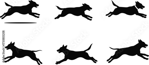 Dog silhouettes running and leaping, domestic pet illustration, canine animal artwork, motion sequence design, black dog drawing, wildlife behavior reference, dynamic posture study