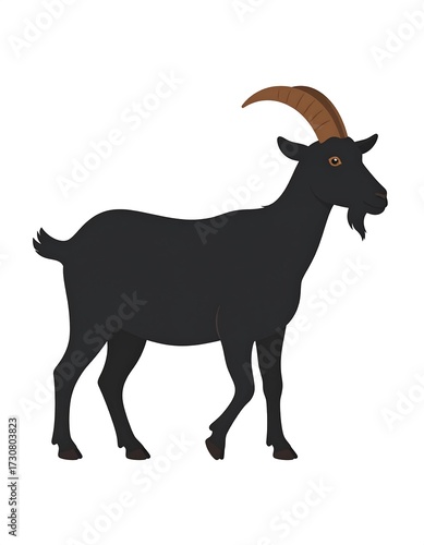 Black goat profile