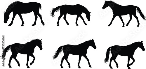 Horse silhouette collection, black horse outlines, walking and trotting horses, equine motion posture, vector design, isolated illustration, animal artwork set