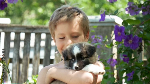 Volunteer Child Took Puppy From Shelter. Adopted Animal. Small Cute Pet Finds Home. Puppy Gratefully Looks to a Boy's Face. Happy Emotions Concept