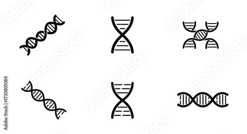 Simple black and white illustrations of various dna helix structures