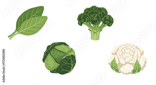 A collection of fresh green and white vegetables including spinach cabbage broccoli and cauliflower.