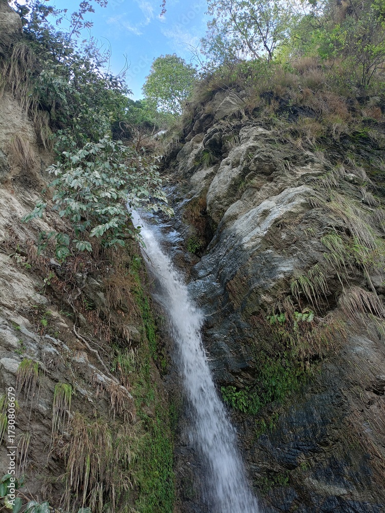 Obraz premium waterfall in the forest
