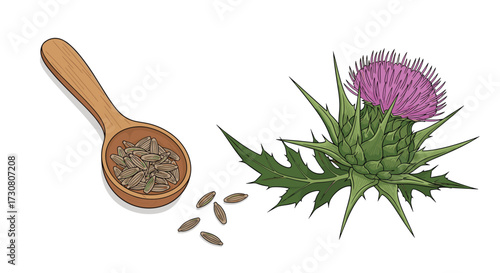 Milk thistle seeds and a flowering plant used for herbal remedies and supplements.