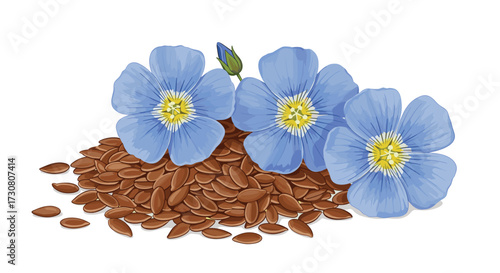 The benefits of flaxseeds and flax flowers for human health and wellness.