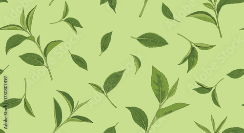 A refreshing collection of organic green tea leaves and sprigs on a light green background for a natural and healthy beverage.