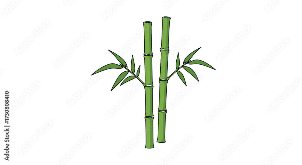 Fototapeta premium Two green bamboo stalks with small green leaves emerging from the top sections.