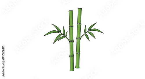 Two green bamboo stalks with small green leaves emerging from the top sections.