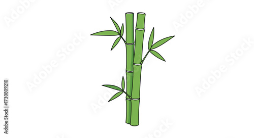 A close-up artistic illustration of a tall green bamboo stalk with its leaves.