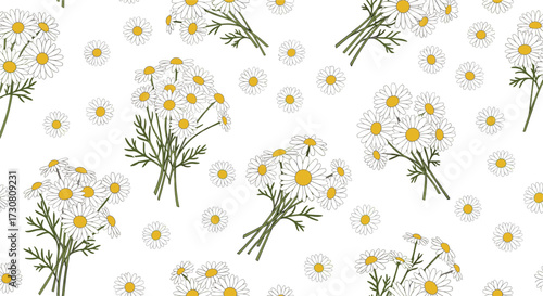 A delightful pattern of hand-drawn chamomile flowers with green stems and leaves.