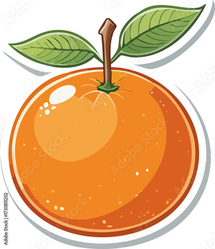 orange fruit vector illustration