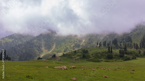 Perched high above Gulmarg, Kangdori Maidaan is a vast alpine meadow reached by the first phase of the Gulmarg Gondola. At nearly 3,000 meters, it offers sweeping views of snow-draped peaks.