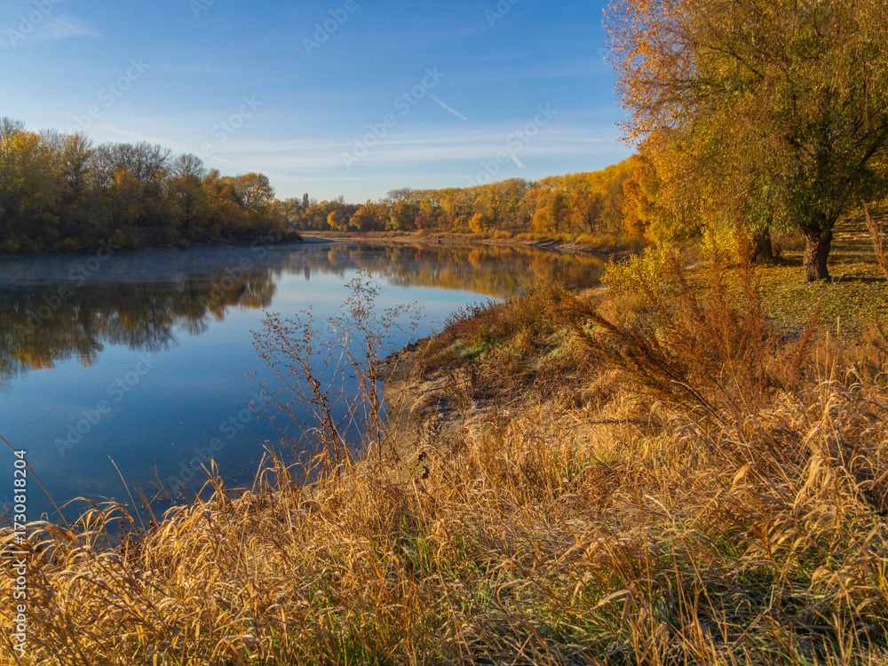 Fototapeta premium autumn landscape with river and wood