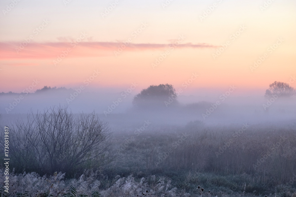 Fototapeta premium sunrise in the fog