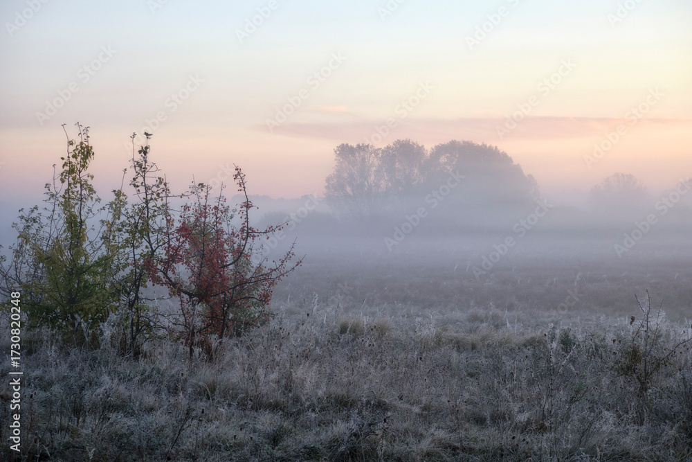 Fototapeta premium morning mist on the river