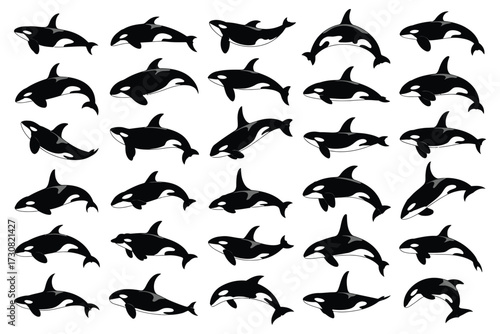 A captivating set of black and white illustrations featuring multiple killer whales in diverse swimming positions, perfect for educational materials and aquatic themes