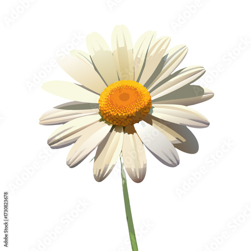 Vector art of a white daisy with yellow center and green stem on a transparent background, SVG format
