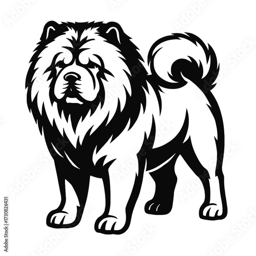 Chow Chow Dog Vector Illustration - Fluffy Pet Animal Graphic
